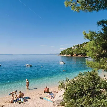 Ya-1961 Локва-Рогозница